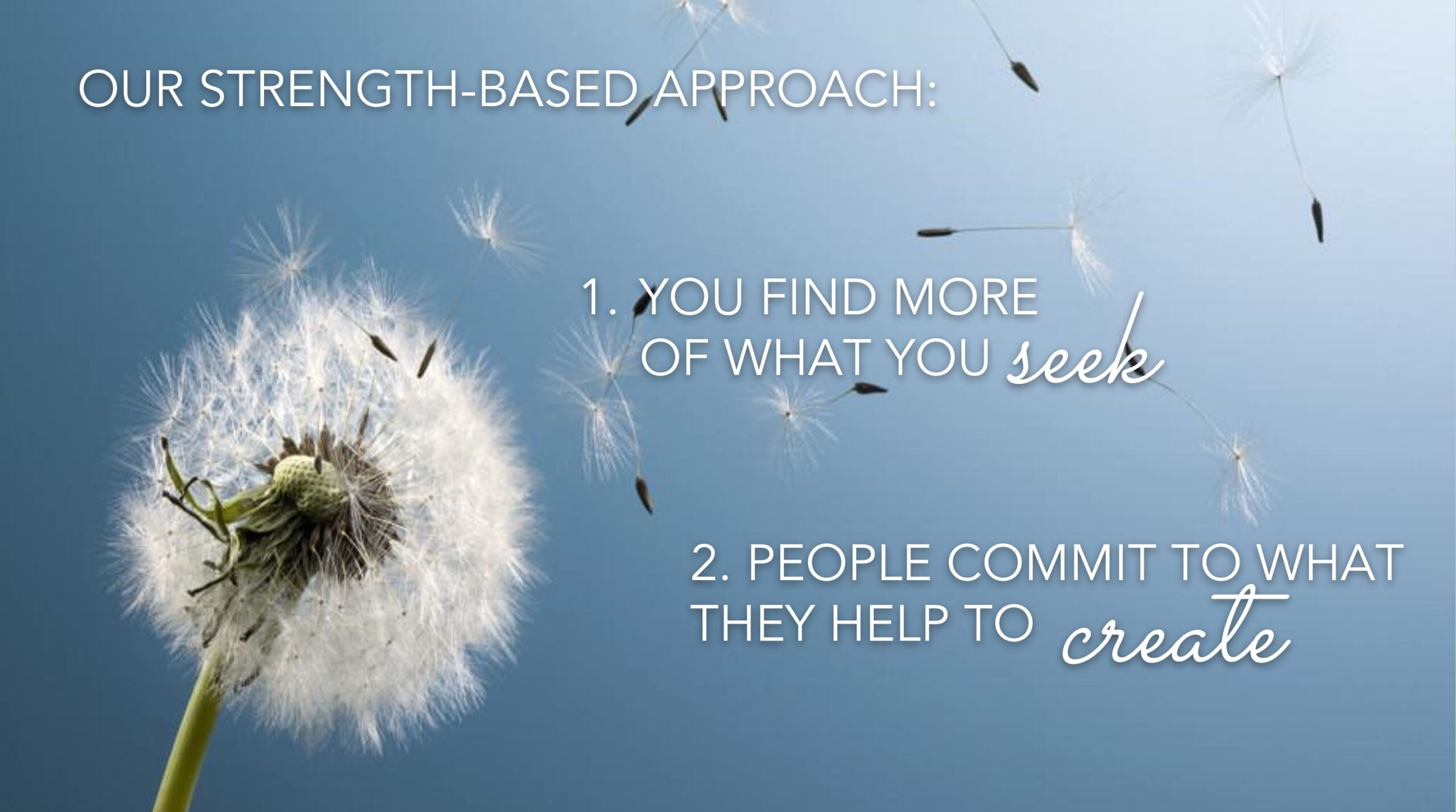 spartina-ai-1-scaled