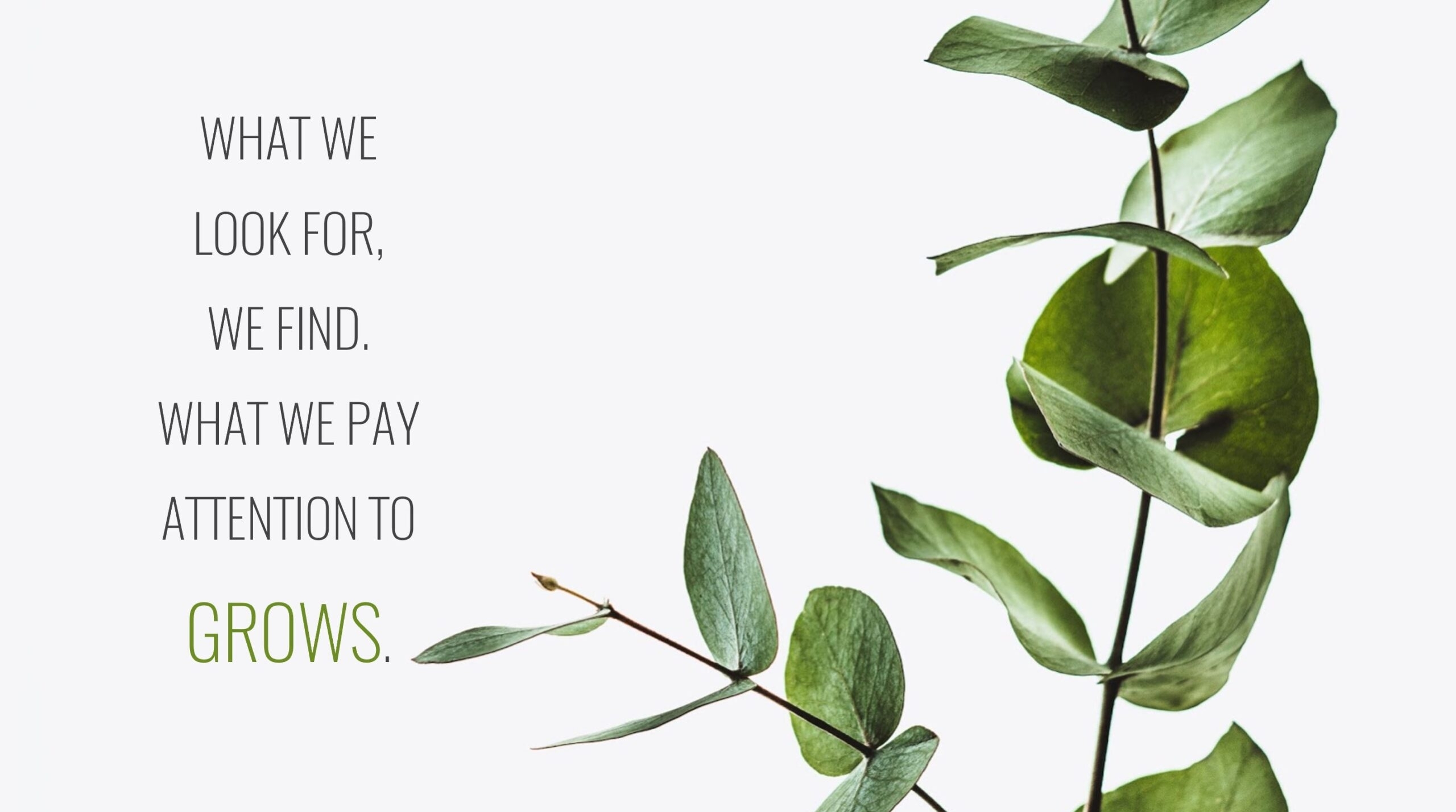 spartina-ai-3-scaled